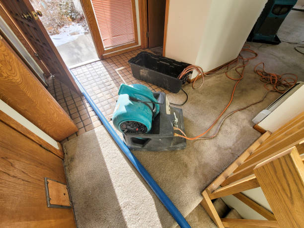 Best Mold Prevention and Remediation in Trent Woods, NC